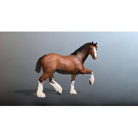 Rigged and Animated Horse (V2) Clydesdale